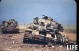 Battle For Lanuvio.webp