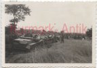C930 Foto Wehrmacht Gebirgsjäger Fahrschule Beute Panzer Skoda 38t + Stug Marder.jpg
