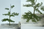 boombouw_08.jpg