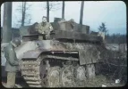 bergepanther color.webp