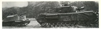 Conger--avre.webp Conger--avre.webp