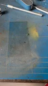 motion_photo_5555985548883548579.webp motion_photo_5555985548883548579.webp