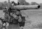 disabled-brit-sector.webp