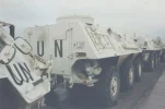 Fuchs in VN-wit 9.webp