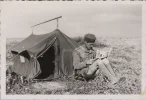 c09a.webp