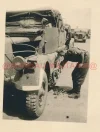 v01w.webp