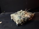 warrior 1.jpg