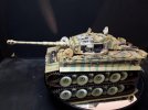 tiger 1 38.jpg