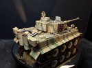 tiger 1 40.jpg