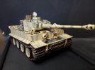 tiger 1 46.jpg