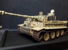 tiger 1 48.jpg