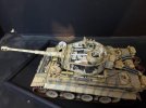 tiger 1 49.jpg