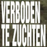 Bert Stienstra