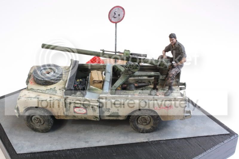 meir161.jpg