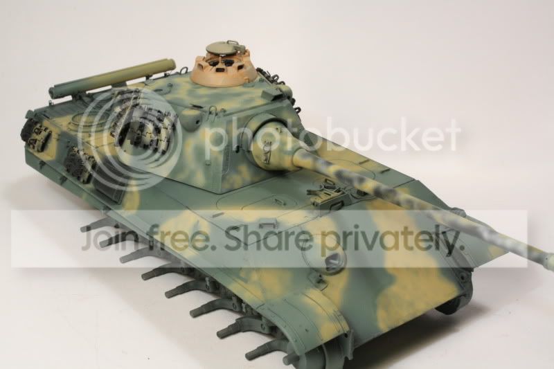 pantherf071.jpg