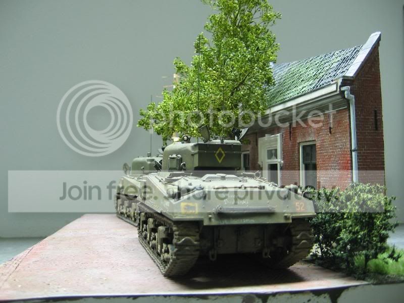 5378.jpg