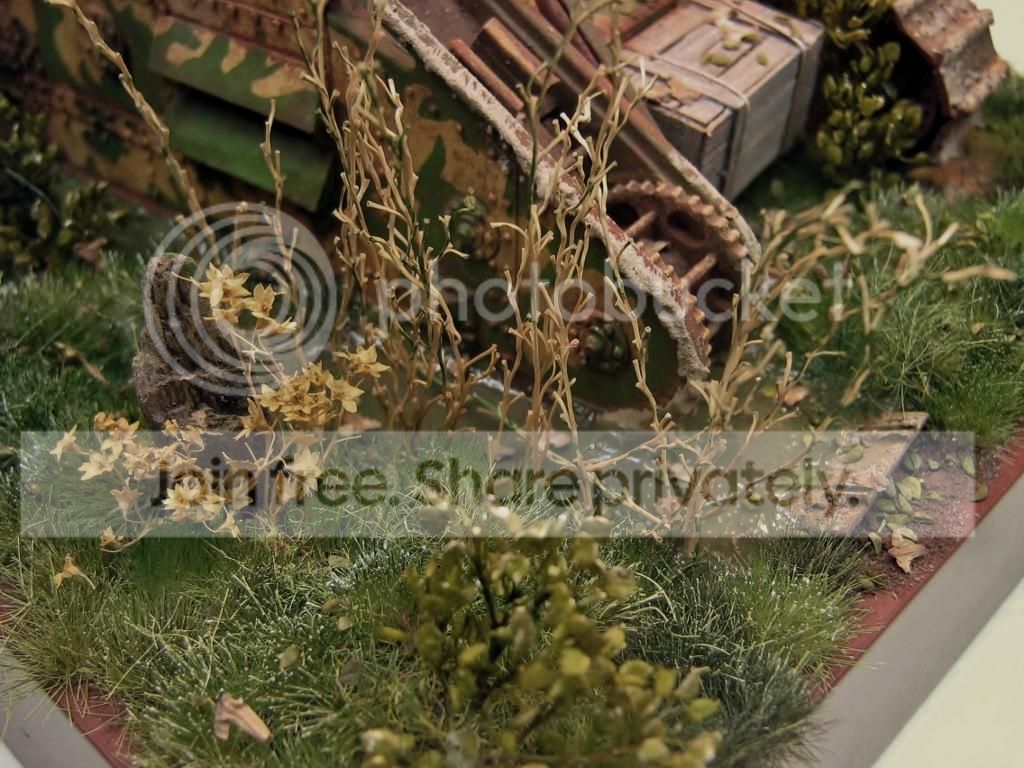 0261024x768_zps001dd324.jpg