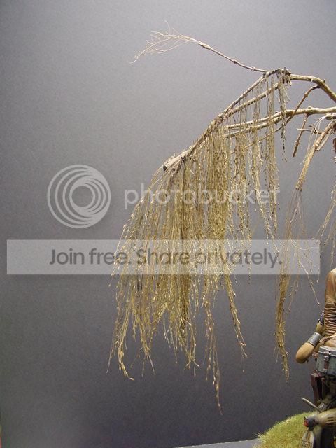 DSC00030_zpsc9c6cb3d.jpg