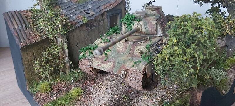 d17-standard-ocw9fu.jpg