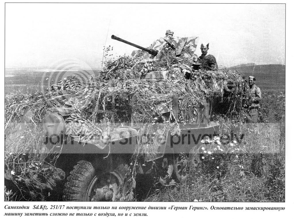 251Flak38camo1.jpg