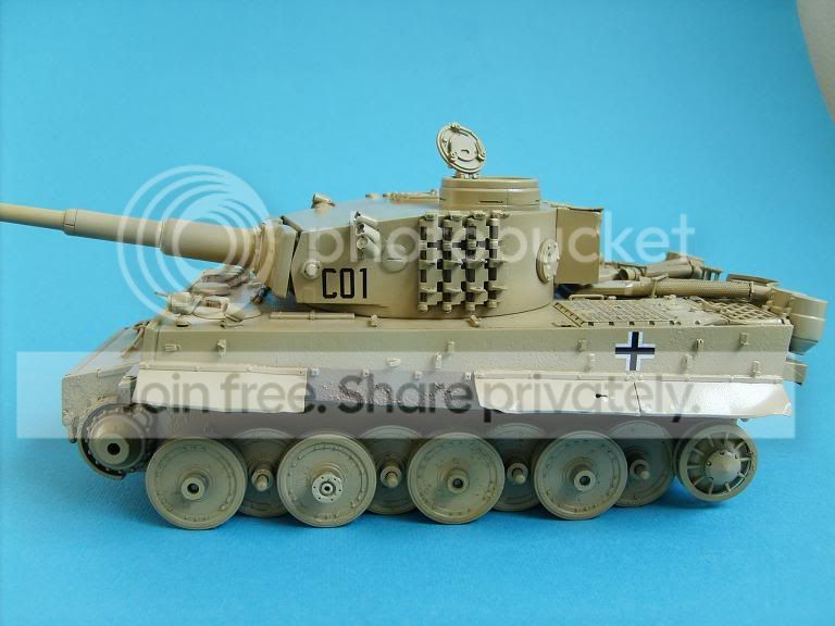 tiger6.jpg
