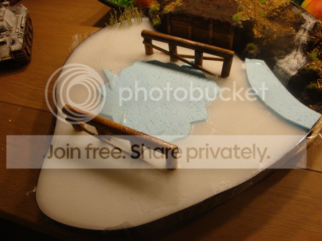 DSC08119.jpg
