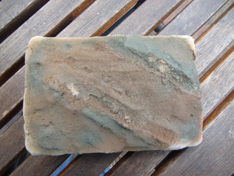CIMG4468_800x600.JPG