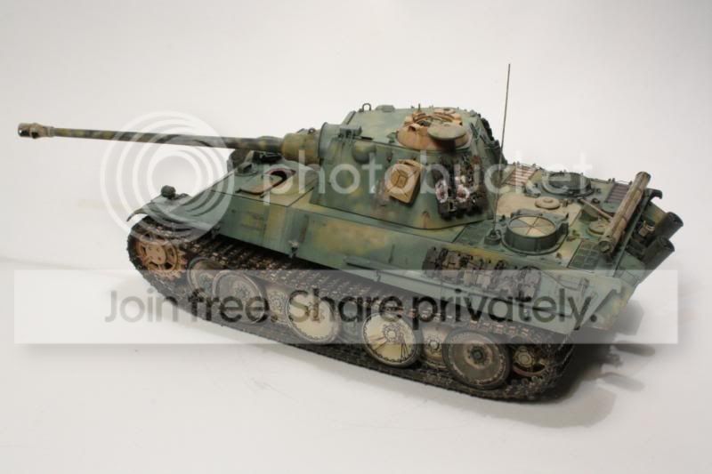 pantherf101.jpg