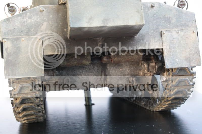 meir181.jpg