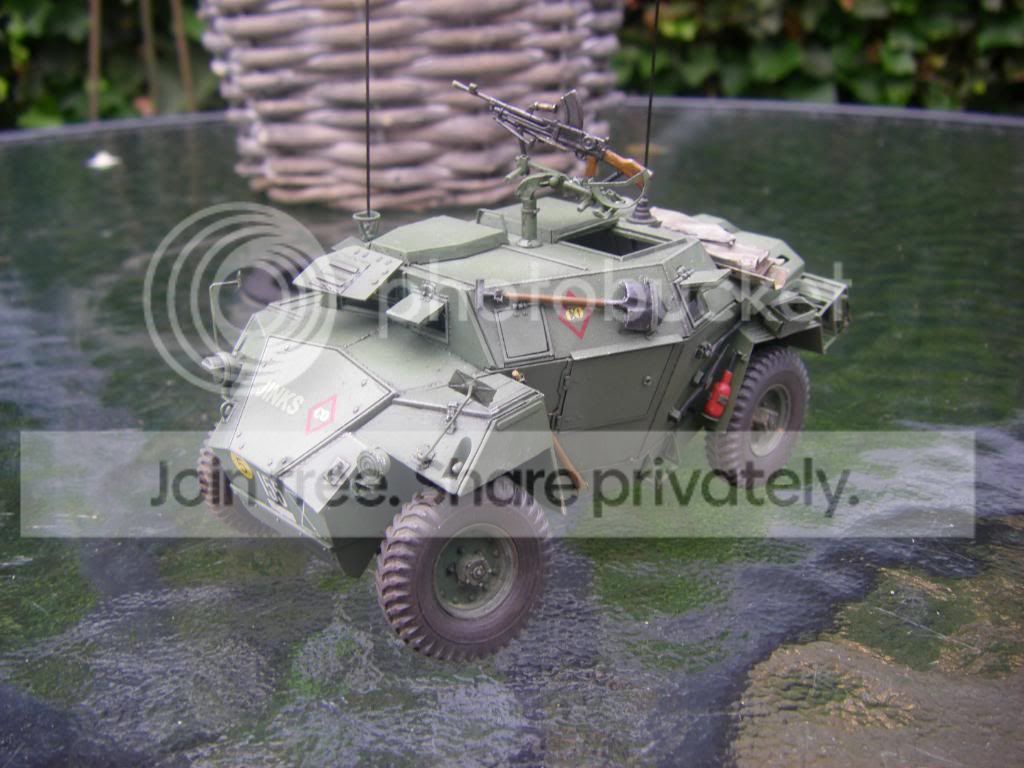 IMGP1174.jpg