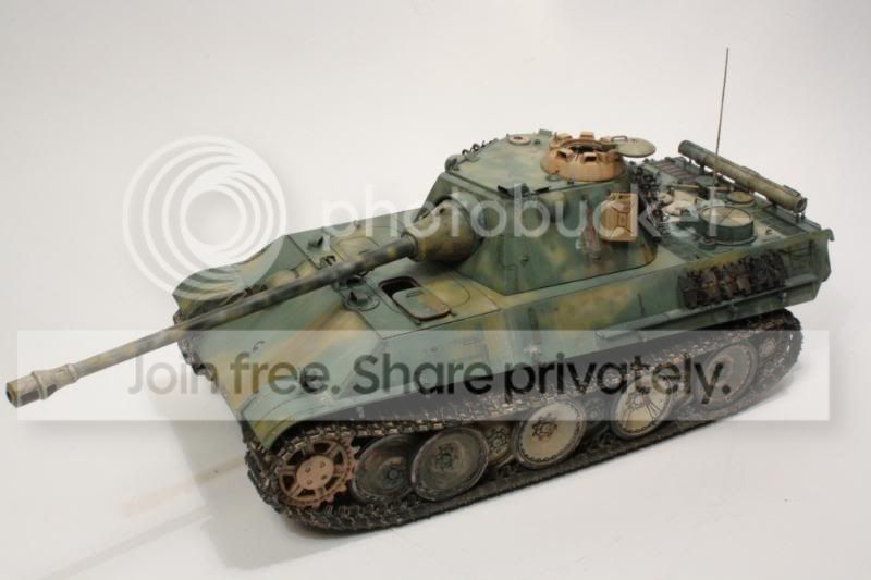 pantherf102.jpg