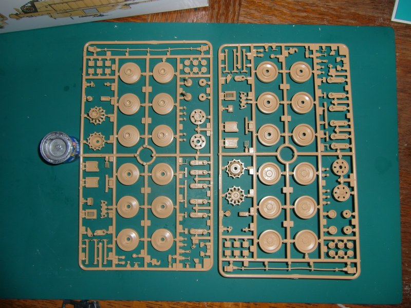 CIMG4115_800x600.JPG