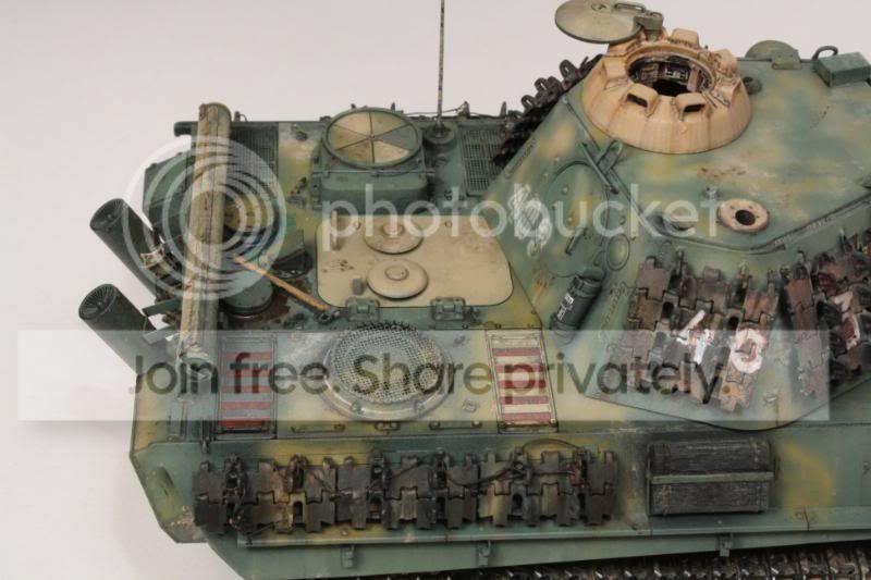 pantherf110.jpg