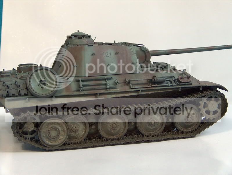 panther7032.jpg