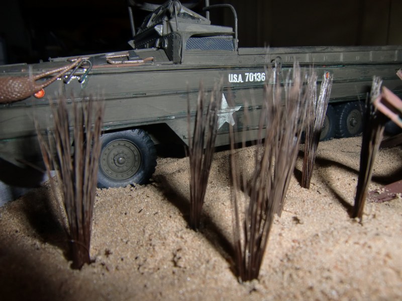 CIMG3818_800x600.JPG