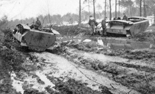 wiking_251.jpg