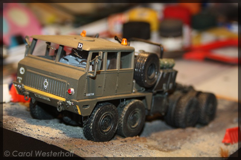 7291446.jpg