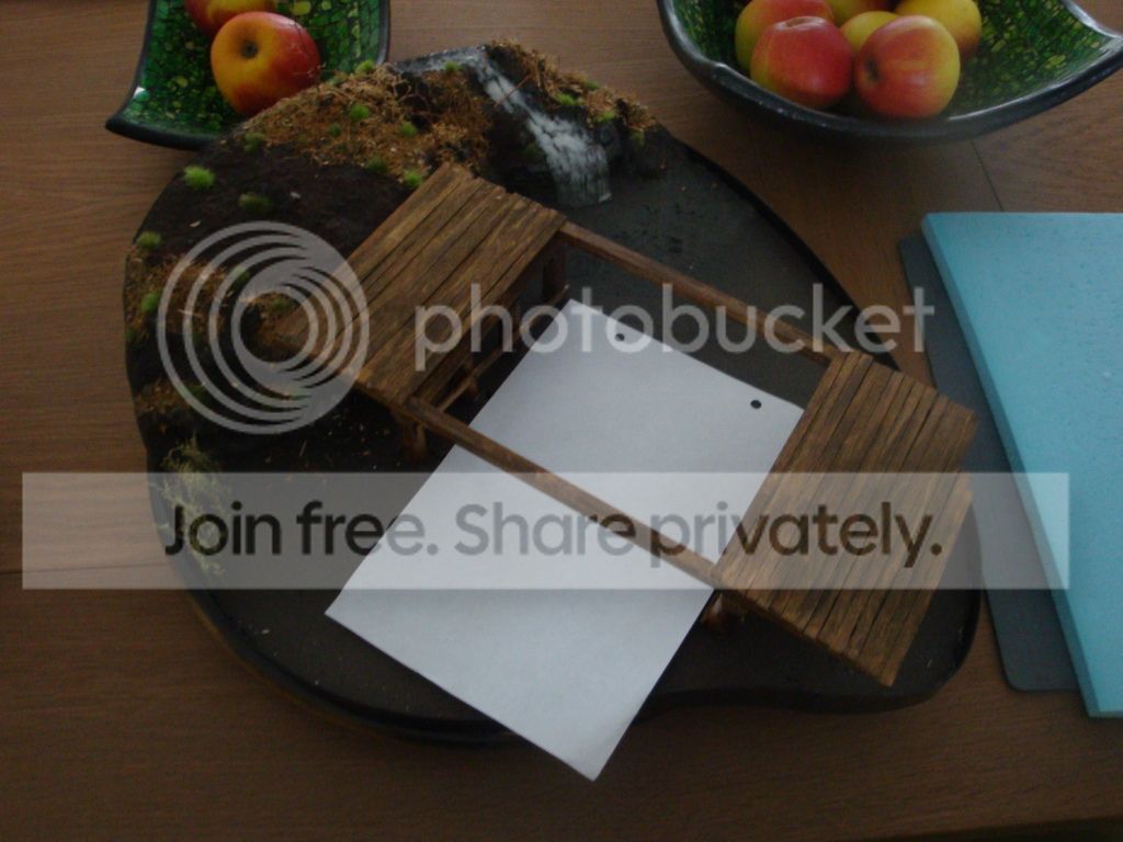 DSC08105.jpg