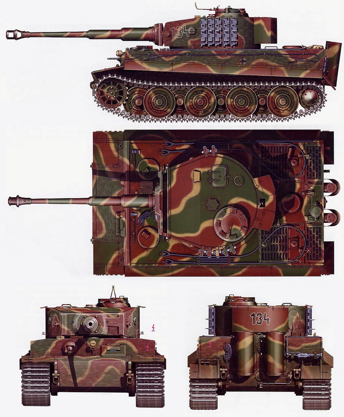 tigerfr.jpg