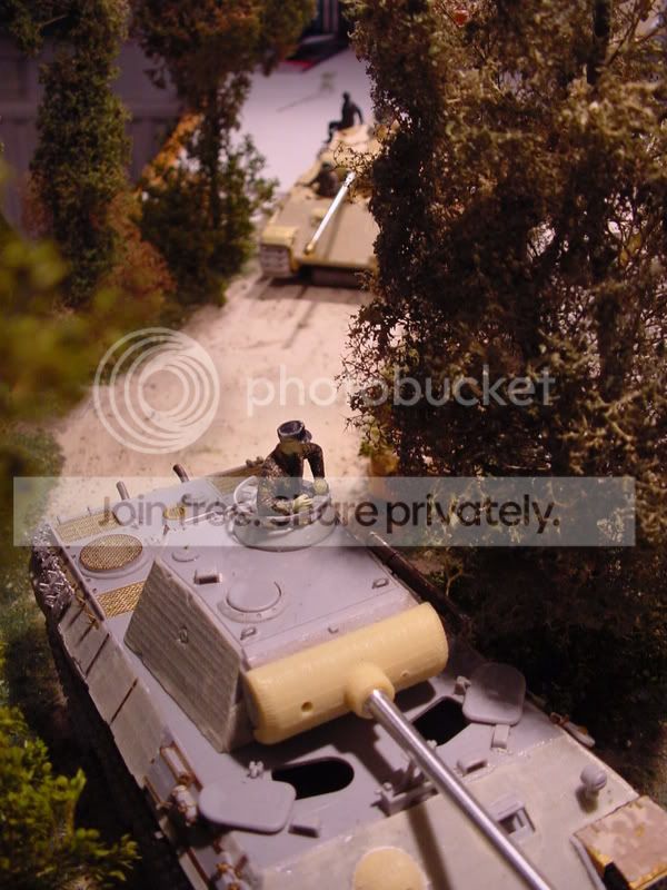 HJPantherDio312.jpg