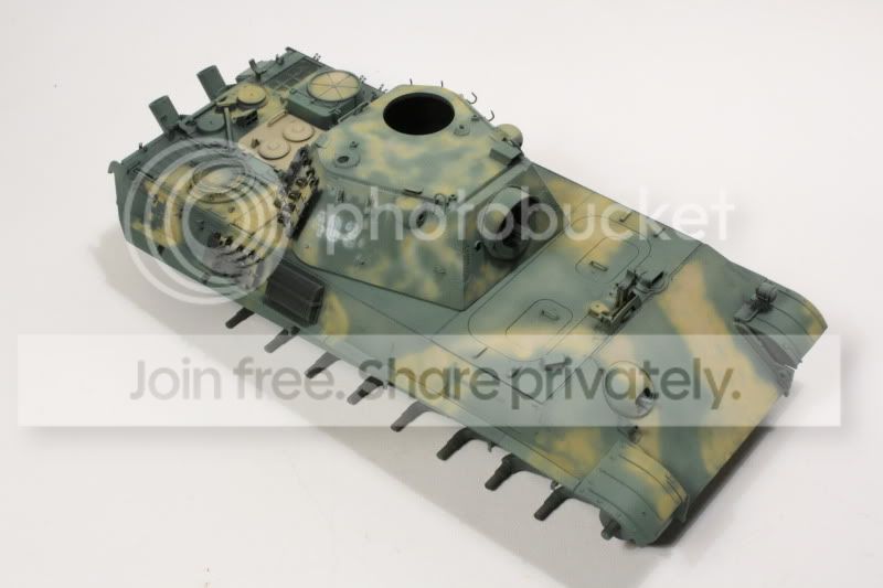 pantherf076.jpg