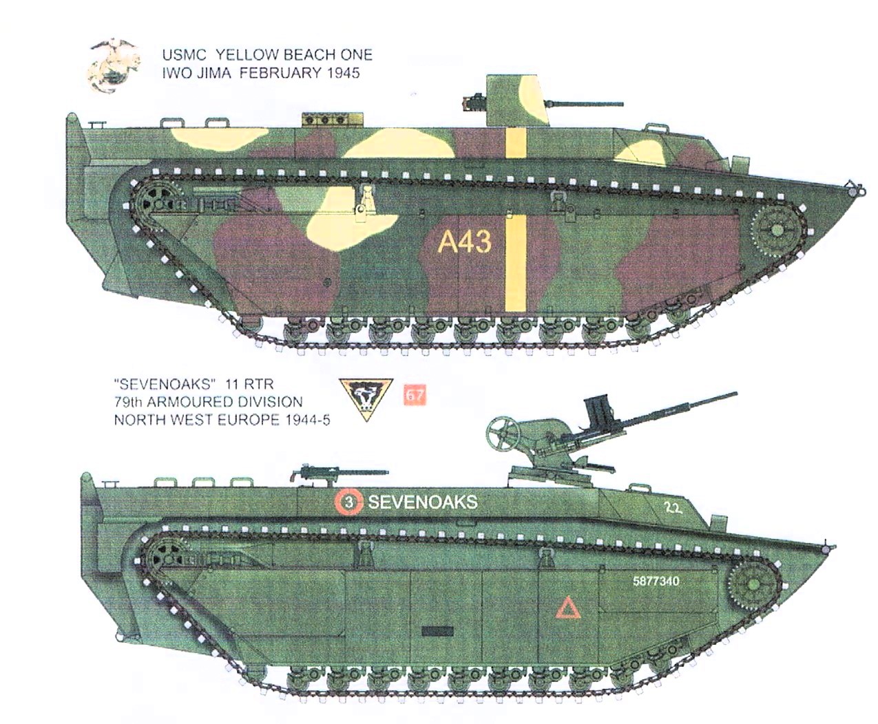 5cfJz6J.jpg