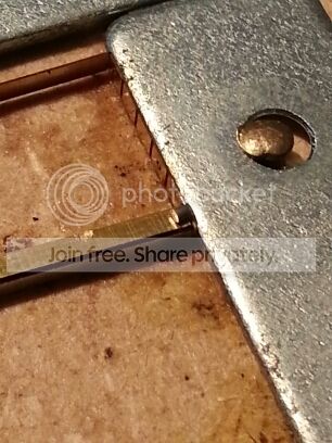 20130120_121050_zps1a0cc676.jpg