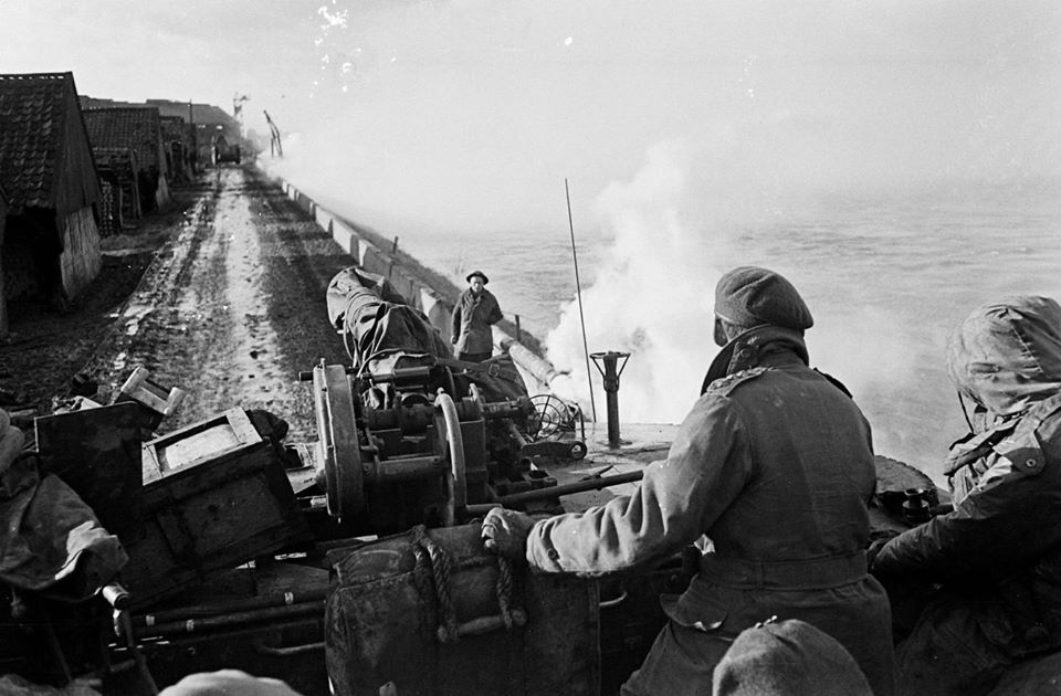 qC41gmc.jpg