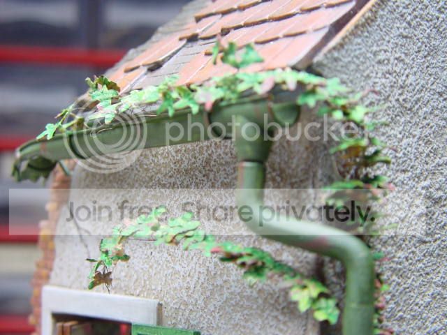 DSC00086.jpg
