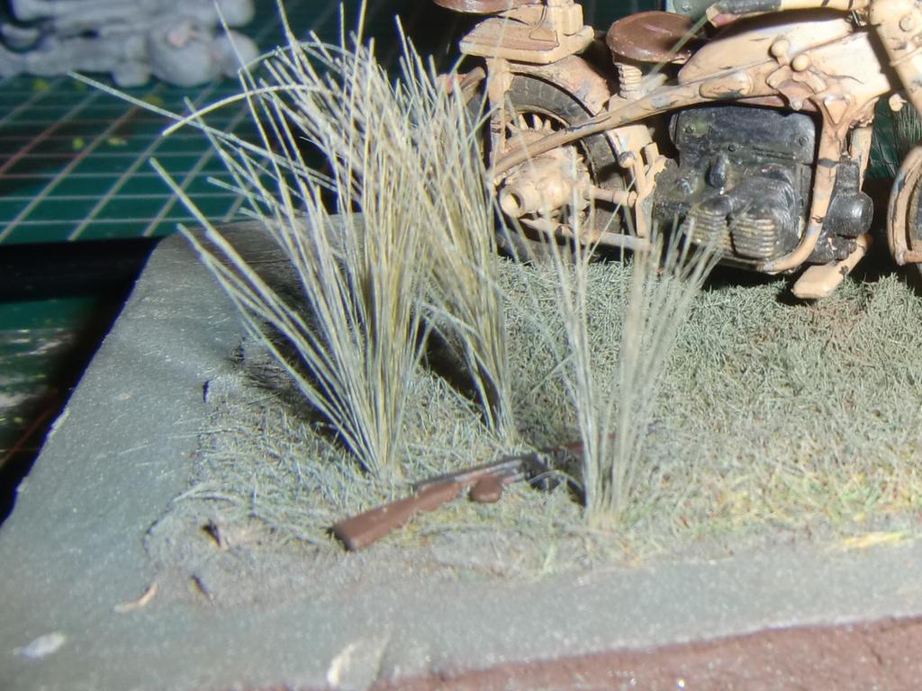 CIMG6304.jpg