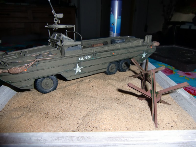 CIMG3810_800x600.JPG