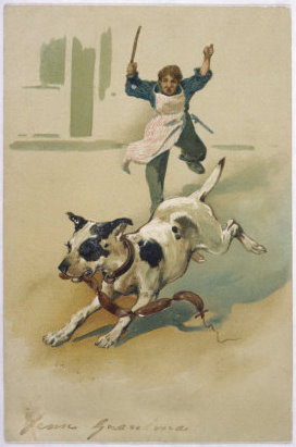 dog+sausages.jpg