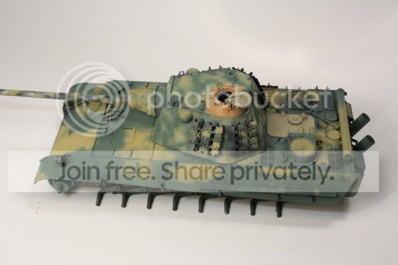 pantherf074.jpg