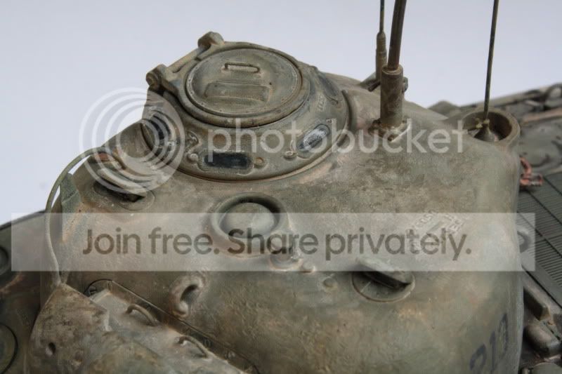 meir177.jpg